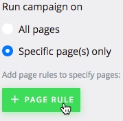 Add Page Rule