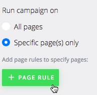 Add Page Rule